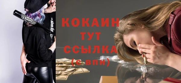 мяу мяу мука Аркадак