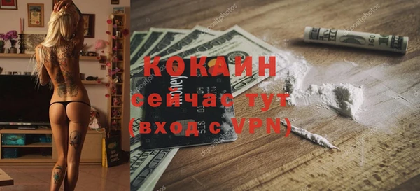мет Арсеньев
