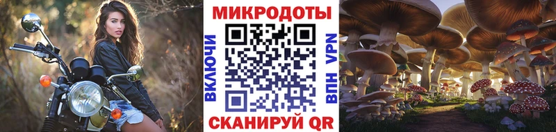 Галлюциногенные грибы Psilocybe  Сурск 