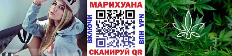 Канабис сатива Сурск